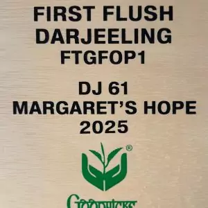 FLUGTEE Darjeeling FTGFOP1 First Flush Margaret's Hope - 2025